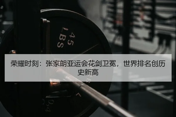 rong-yao-shi-ke-zhang-jia-lang-ya-yun-hui-hua-jian-wei-mian-shi-jie-pai-ming-chuang-li-shi-xin-gao-2-376.jpg
